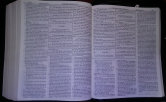 bible